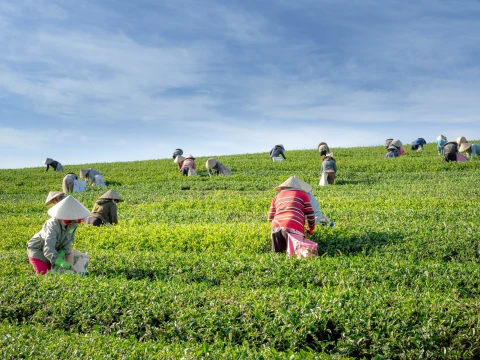 Expanding Global Recruitment & Workforce Opportunities